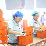 SGBEST Fresh Instant Bird’s Nest 6 Bottles