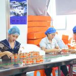 SGBEST Fresh Instant Bird’s Nest 6 Bottles