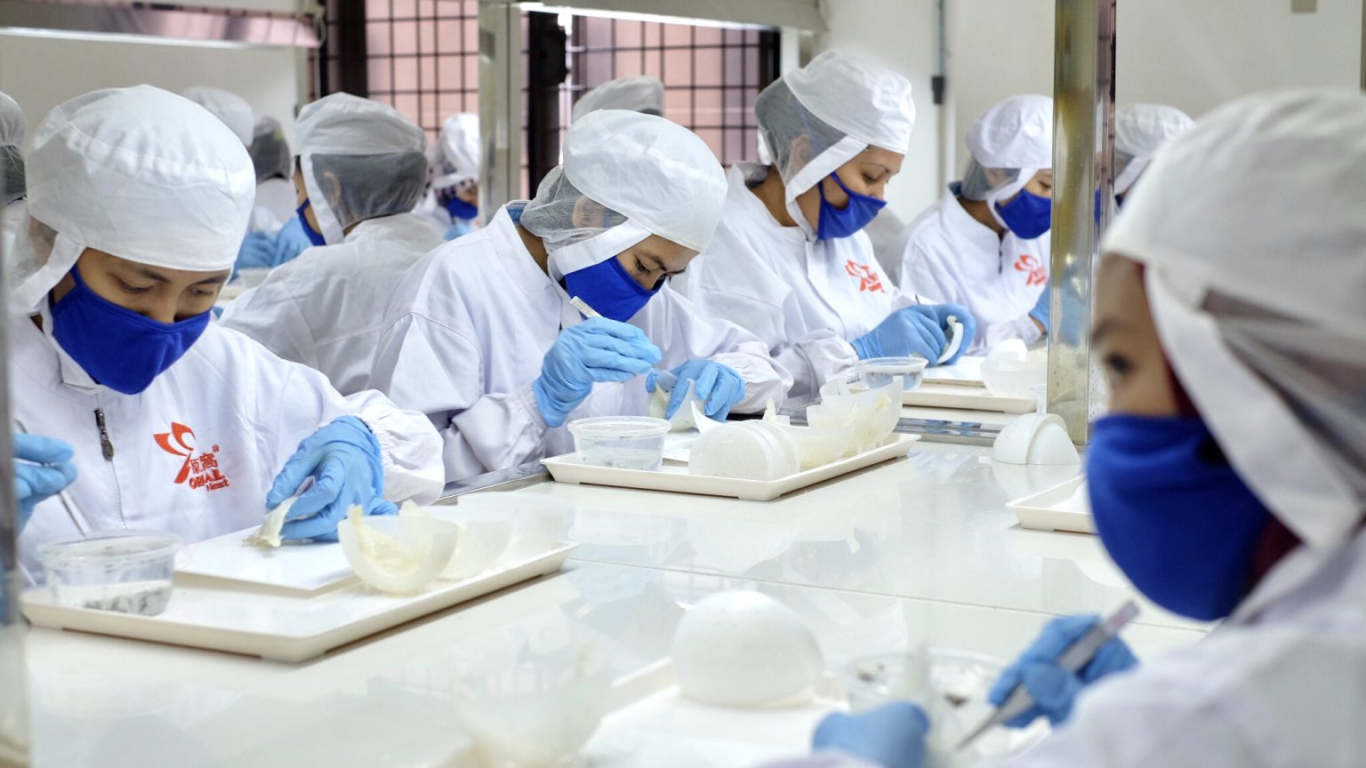 bird nest online singapore