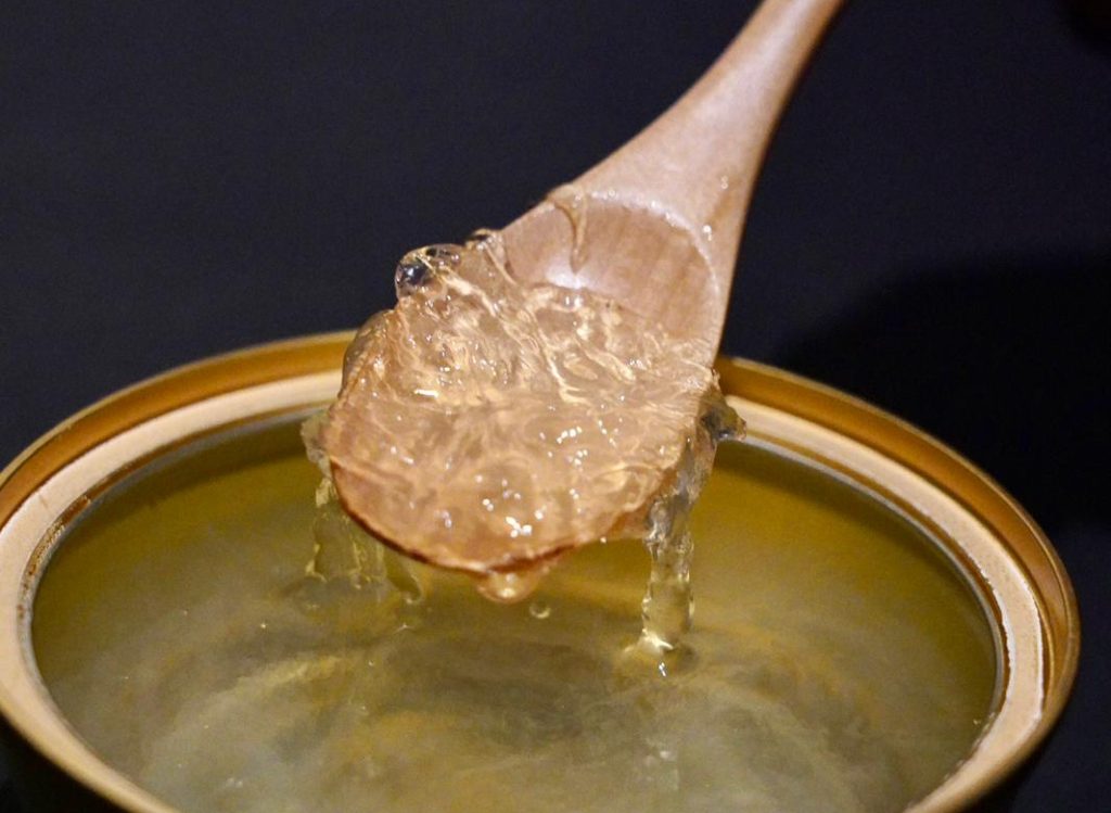 health benefits of birds nest