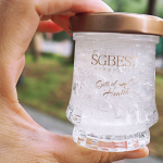 sgbest bird nest